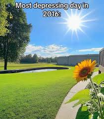 Sunny park with sunflower and ironic text overlay